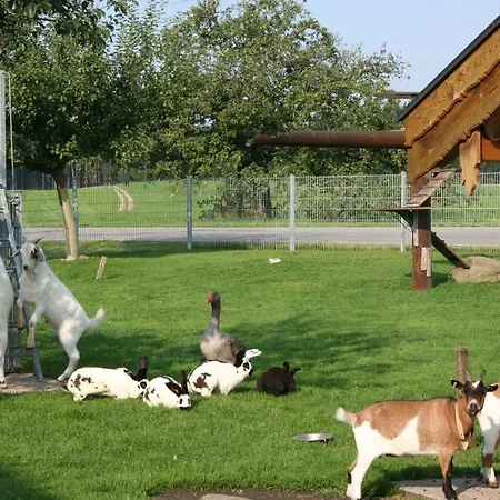Wimmerhof *